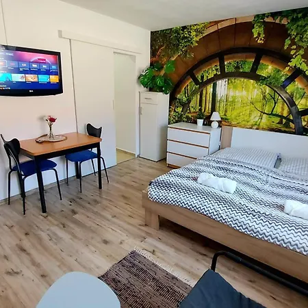 Utulna Garsonka דירה Týn nad Vltavou